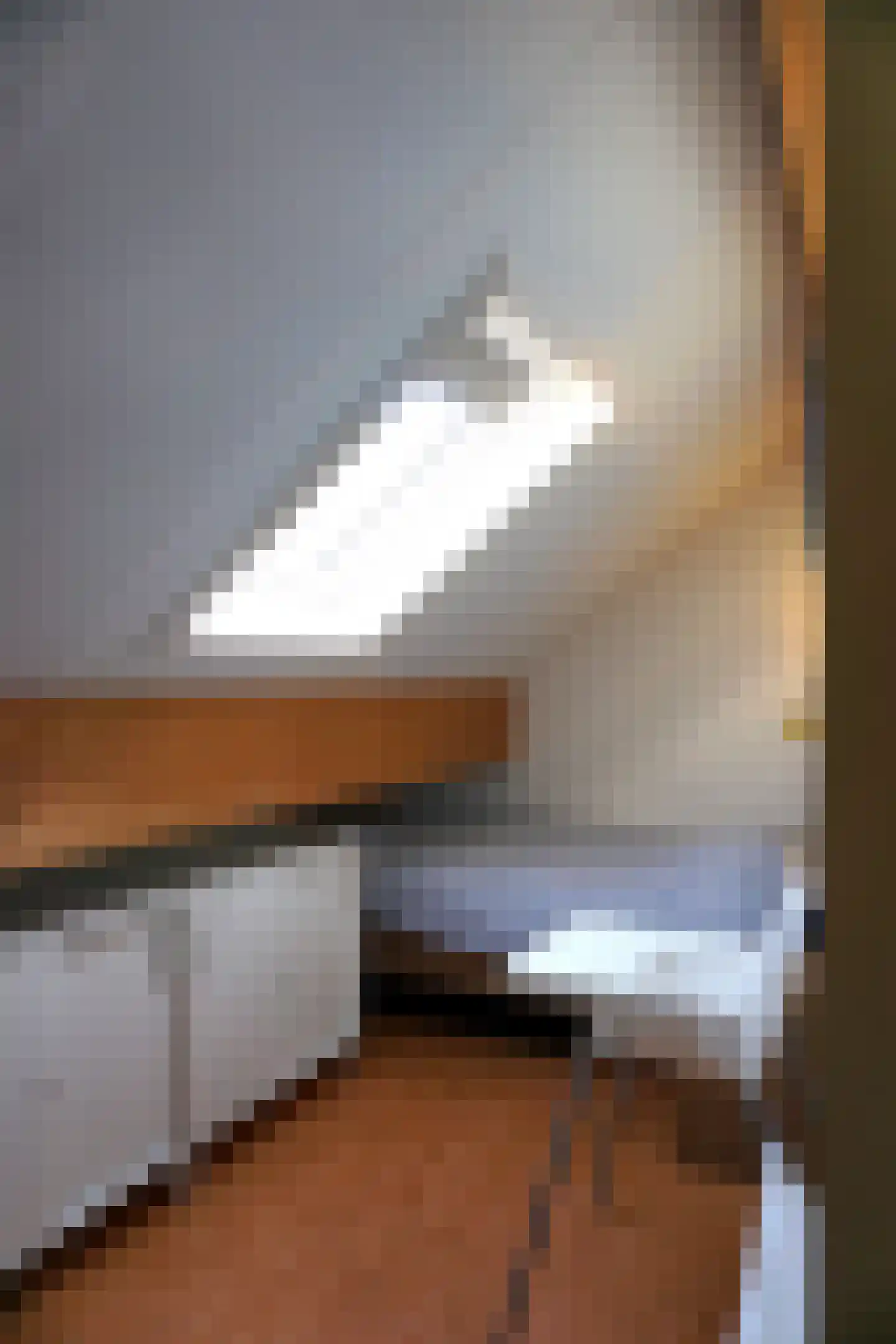 Ooghduyne 244 Julianadorp thumbnail 29