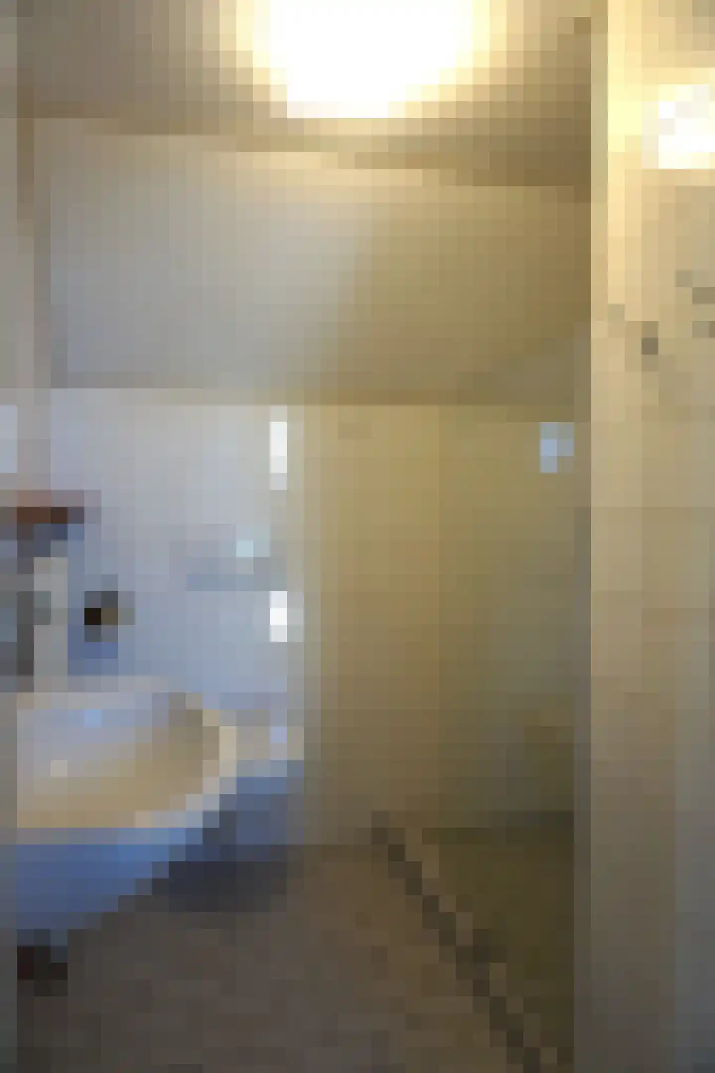 Ooghduyne 244 Julianadorp thumbnail 31