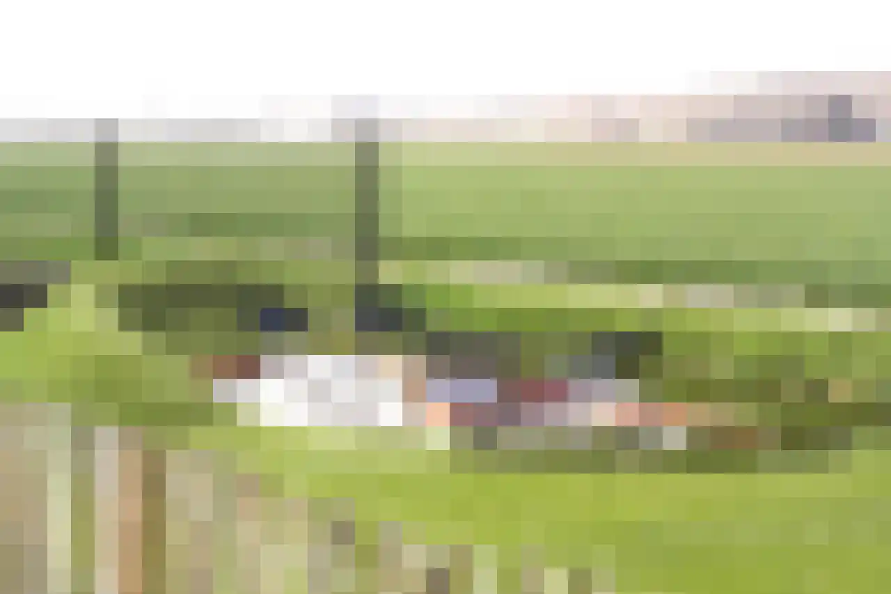 Ooghduyne 244 Julianadorp thumbnail 40
