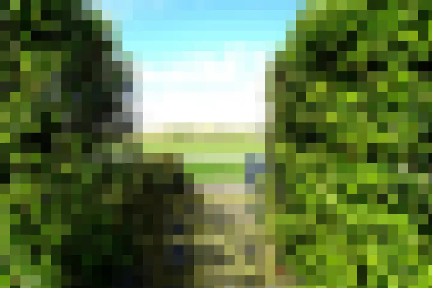 Ooghduyne 244 Julianadorp thumbnail 43