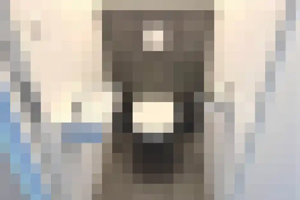 Ooghduyne 302 Julianadorp thumbnail 11