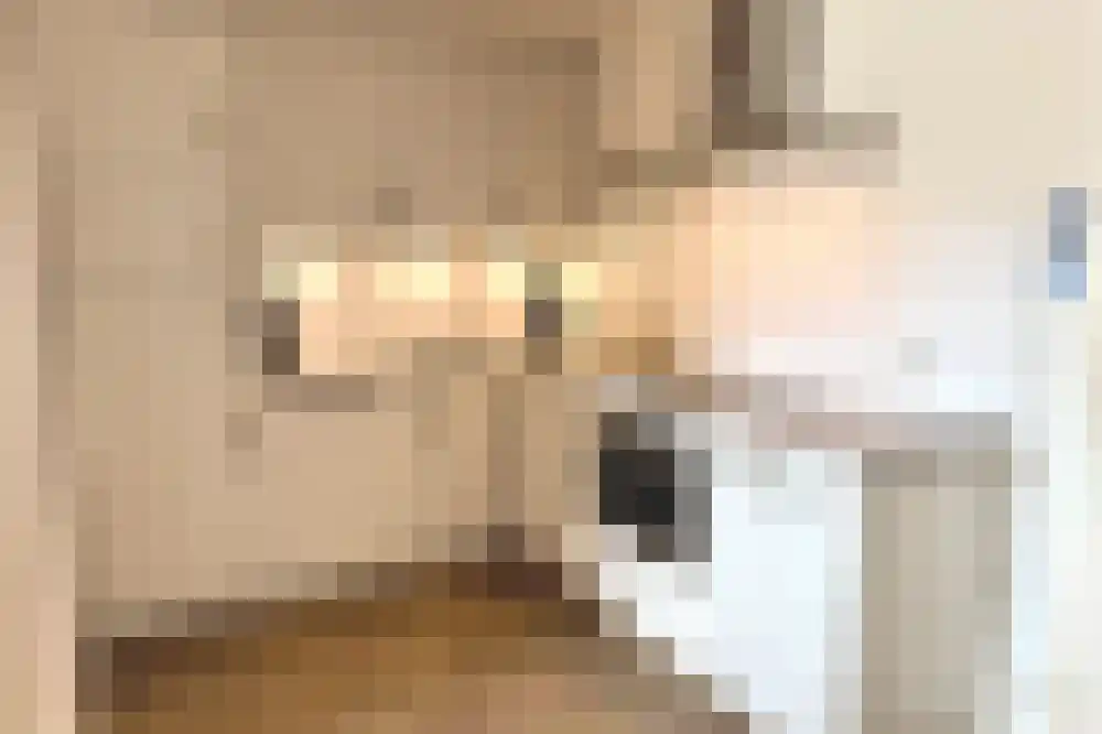 Ooghduyne 302 Julianadorp thumbnail 12