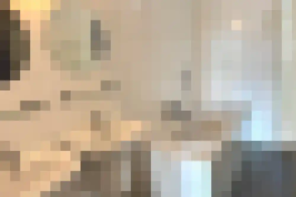 Ooghduyne 302 Julianadorp thumbnail 15
