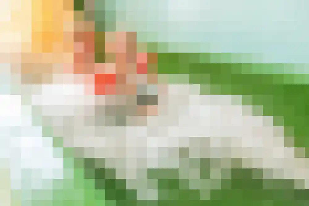 Ooghduyne 302 Julianadorp thumbnail 24
