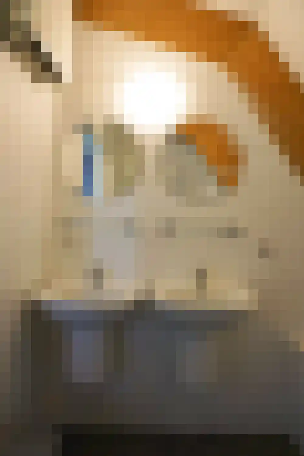 Ooghduyne 306 Julianadorp thumbnail 16