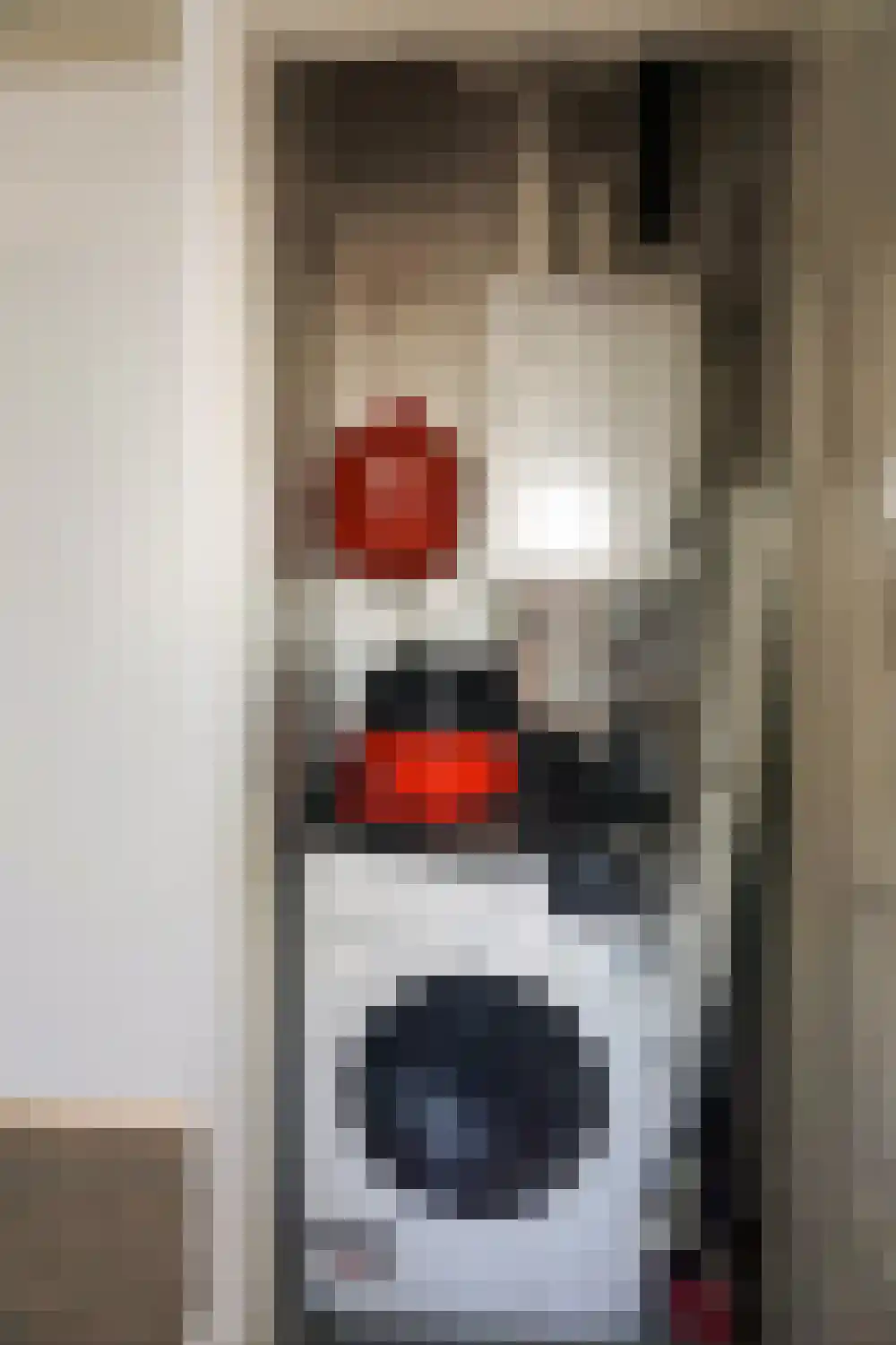 Ooghduyne 306 Julianadorp thumbnail 18