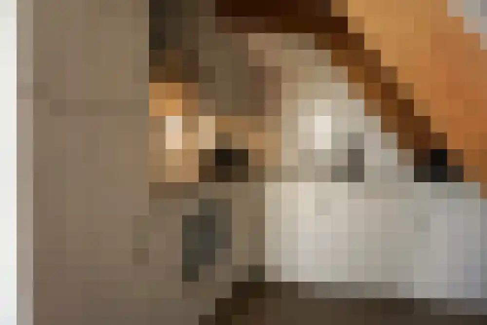 Ooghduyne 306 Julianadorp thumbnail 7