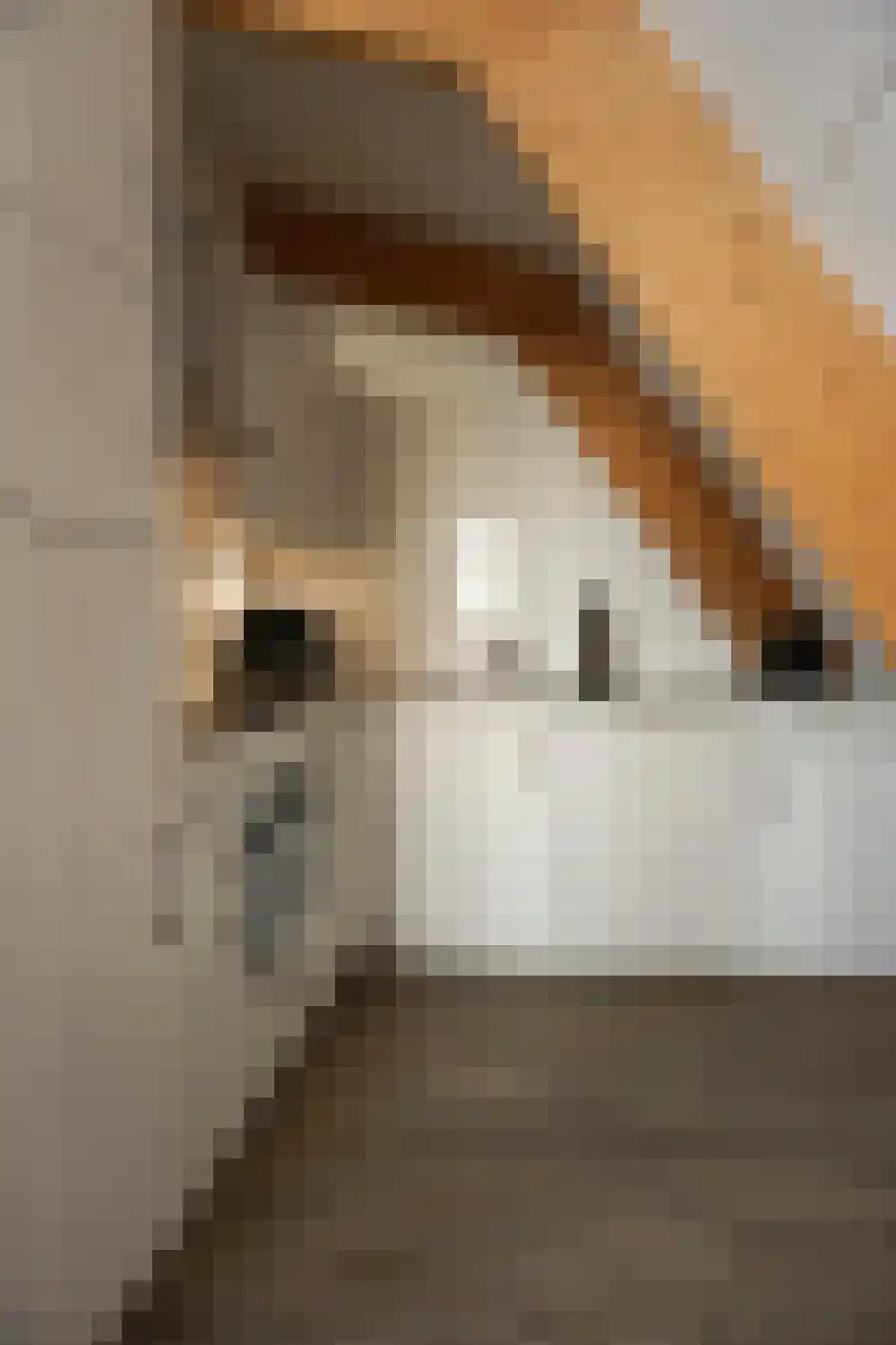 Ooghduyne 306 Julianadorp thumbnail 9