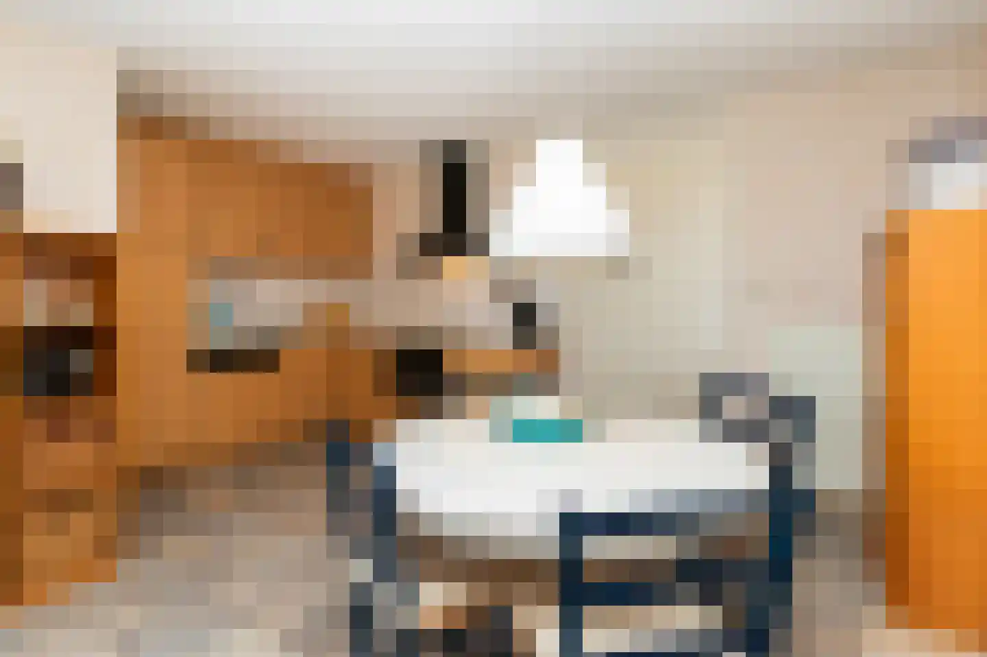 Ooghduyne 312 Julianadorp thumbnail 20