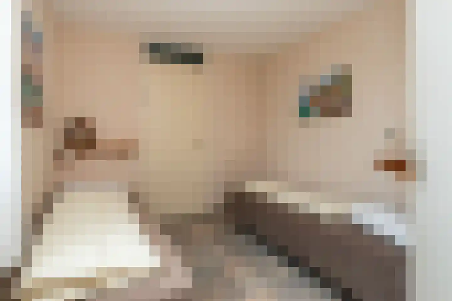 Ooghduyne 312 Julianadorp thumbnail 23
