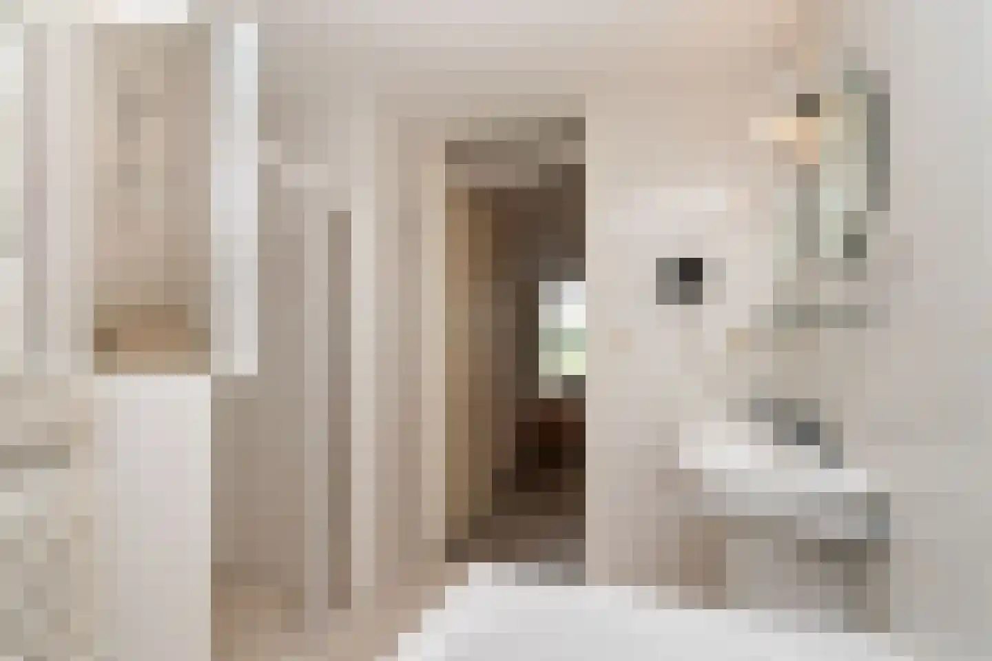 Ooghduyne 312 Julianadorp thumbnail 26