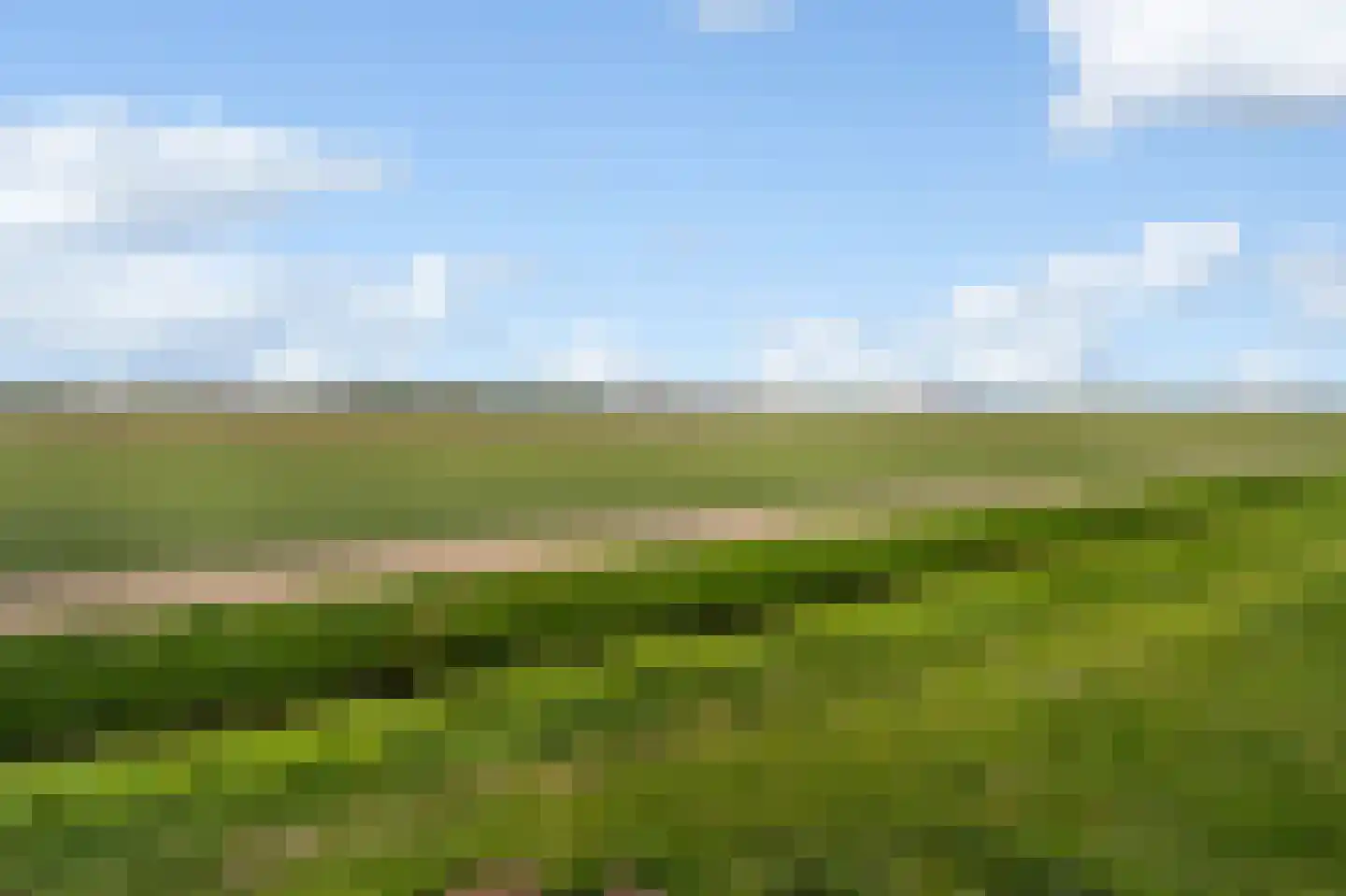 Ooghduyne 312 Julianadorp thumbnail 31