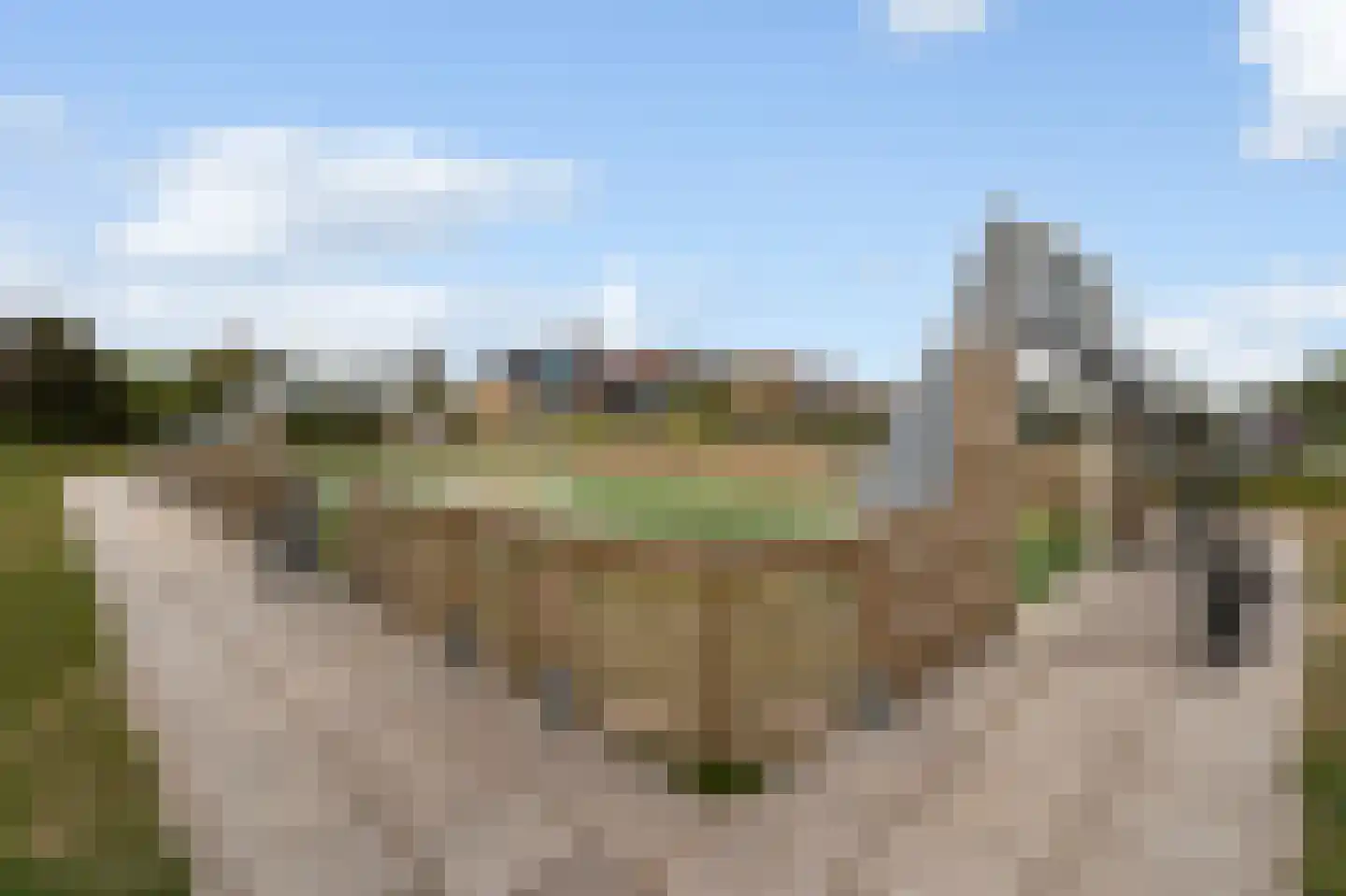 Ooghduyne 312 Julianadorp thumbnail 38