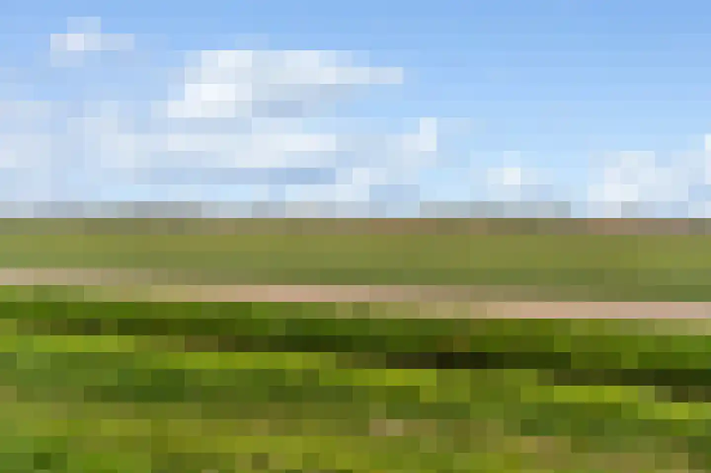 Ooghduyne 312 Julianadorp thumbnail 43