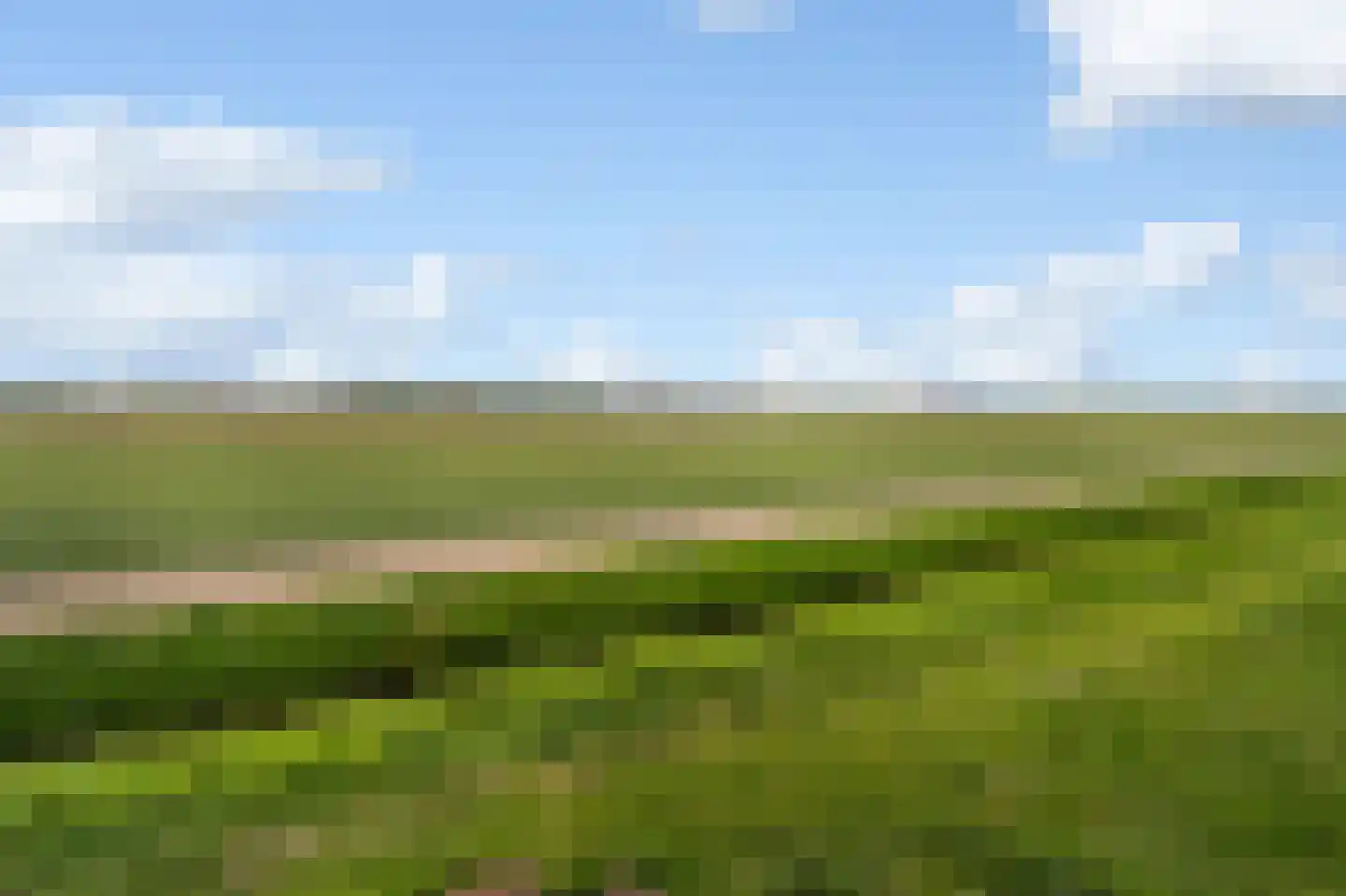 Ooghduyne 312 Julianadorp thumbnail 44
