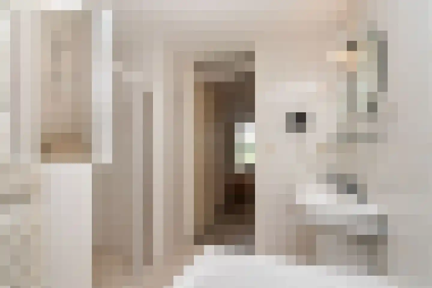 Ooghduyne 312 Julianadorp thumbnail 8