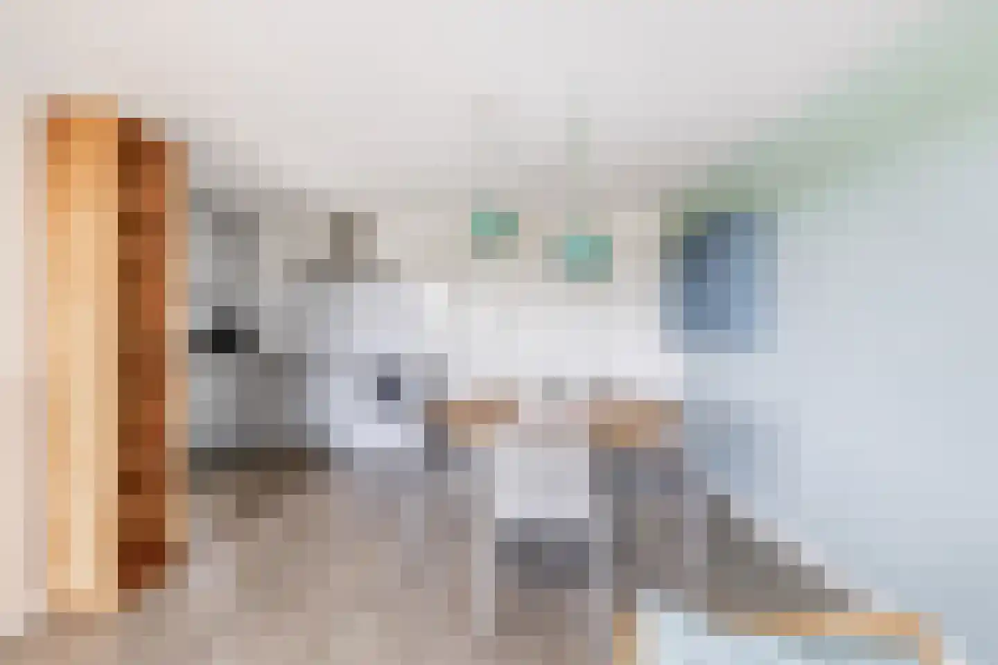 Ooghduyne 329 Julianadorp thumbnail 10