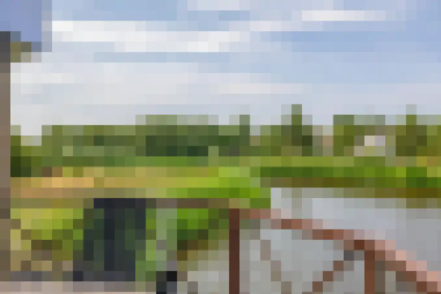 Ooghduyne 329 Julianadorp thumbnail 16