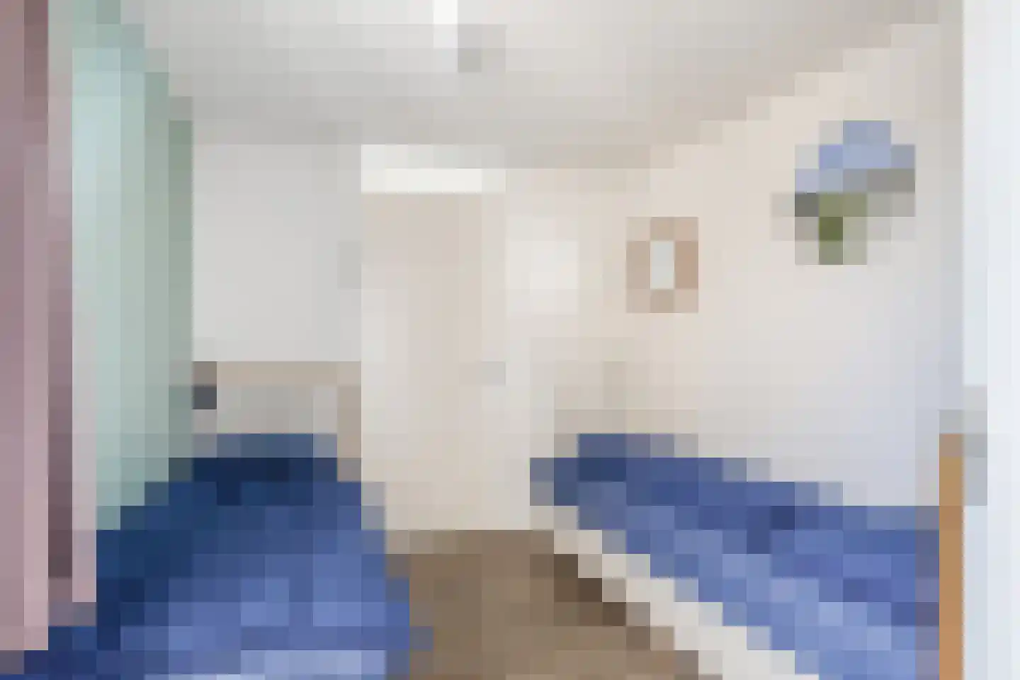 Ooghduyne 329 Julianadorp thumbnail 22