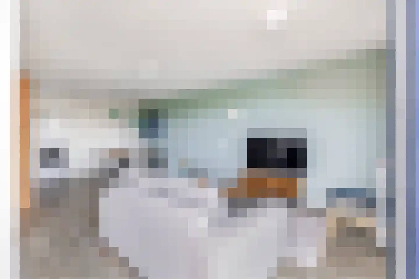 Ooghduyne 329 Julianadorp thumbnail 7