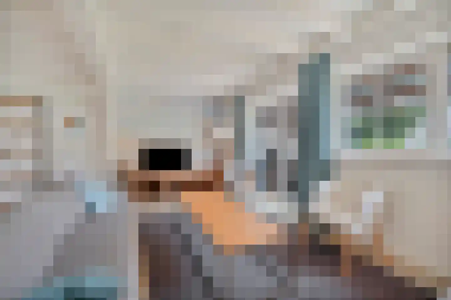 Ooghduyne 336 Julianadorp thumbnail 11
