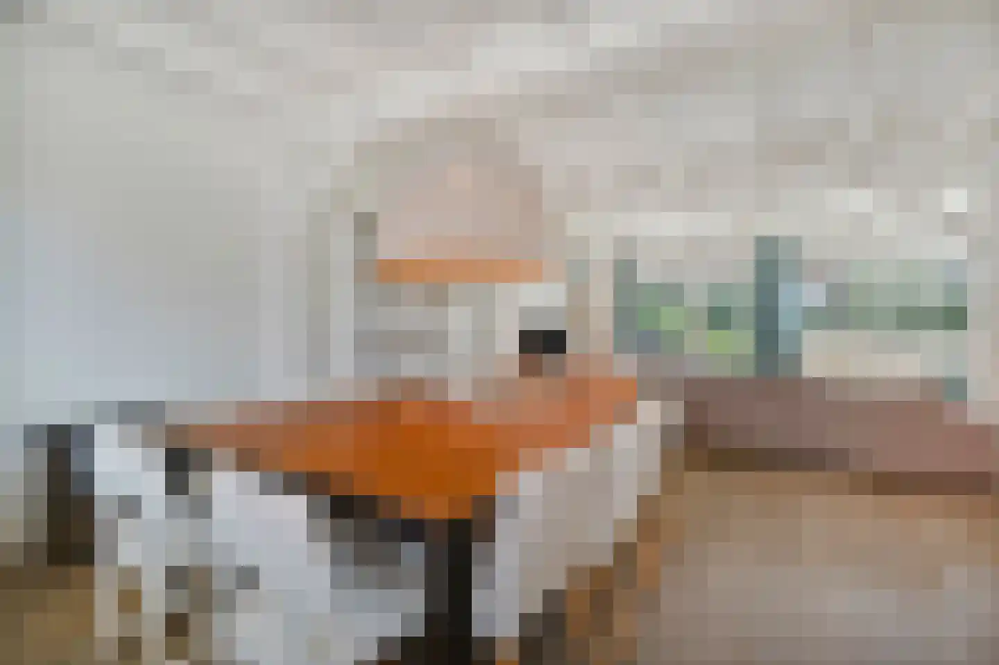 Ooghduyne 336 Julianadorp thumbnail 14
