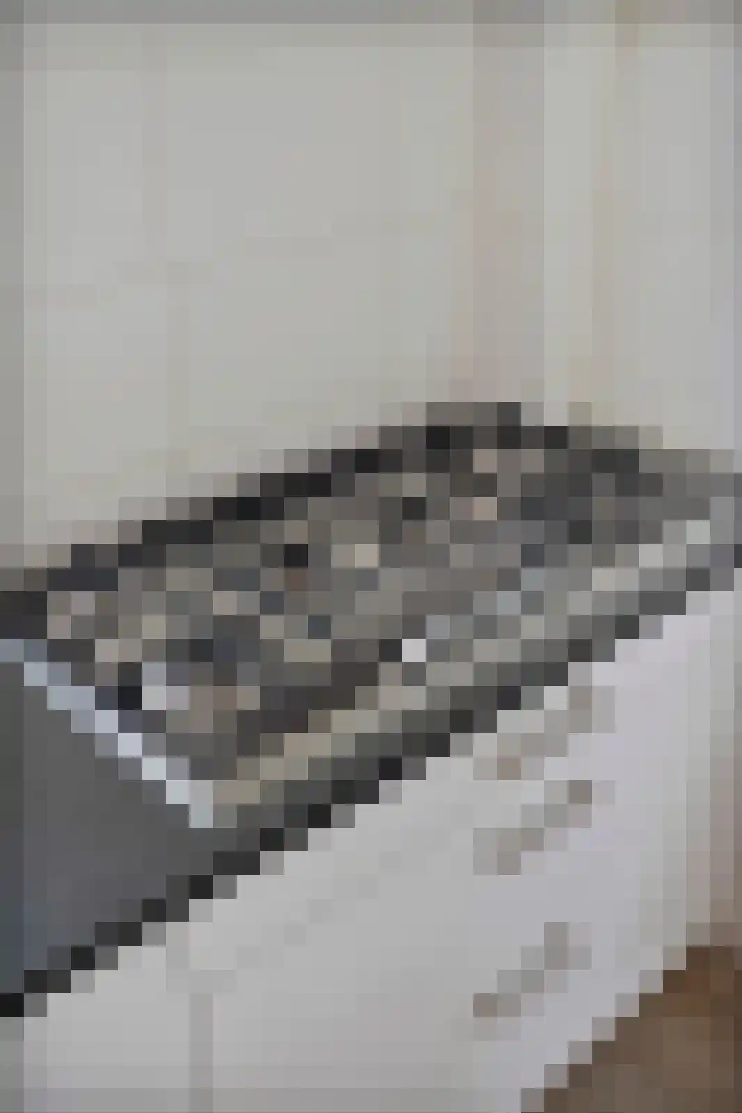 Ooghduyne 336 Julianadorp thumbnail 18