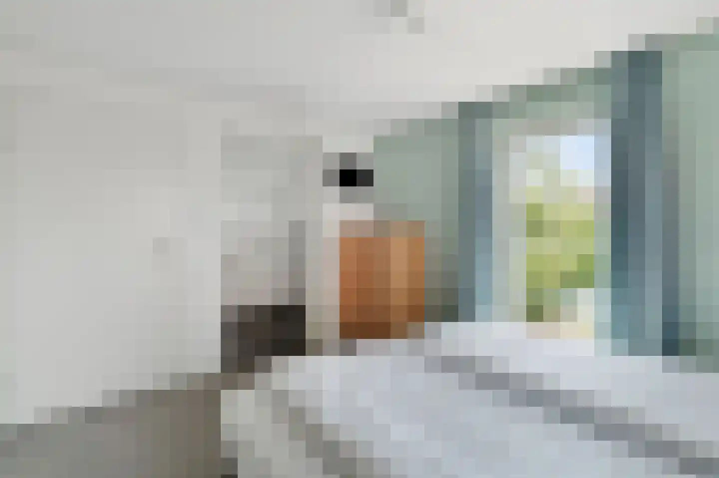 Ooghduyne 336 Julianadorp thumbnail 25