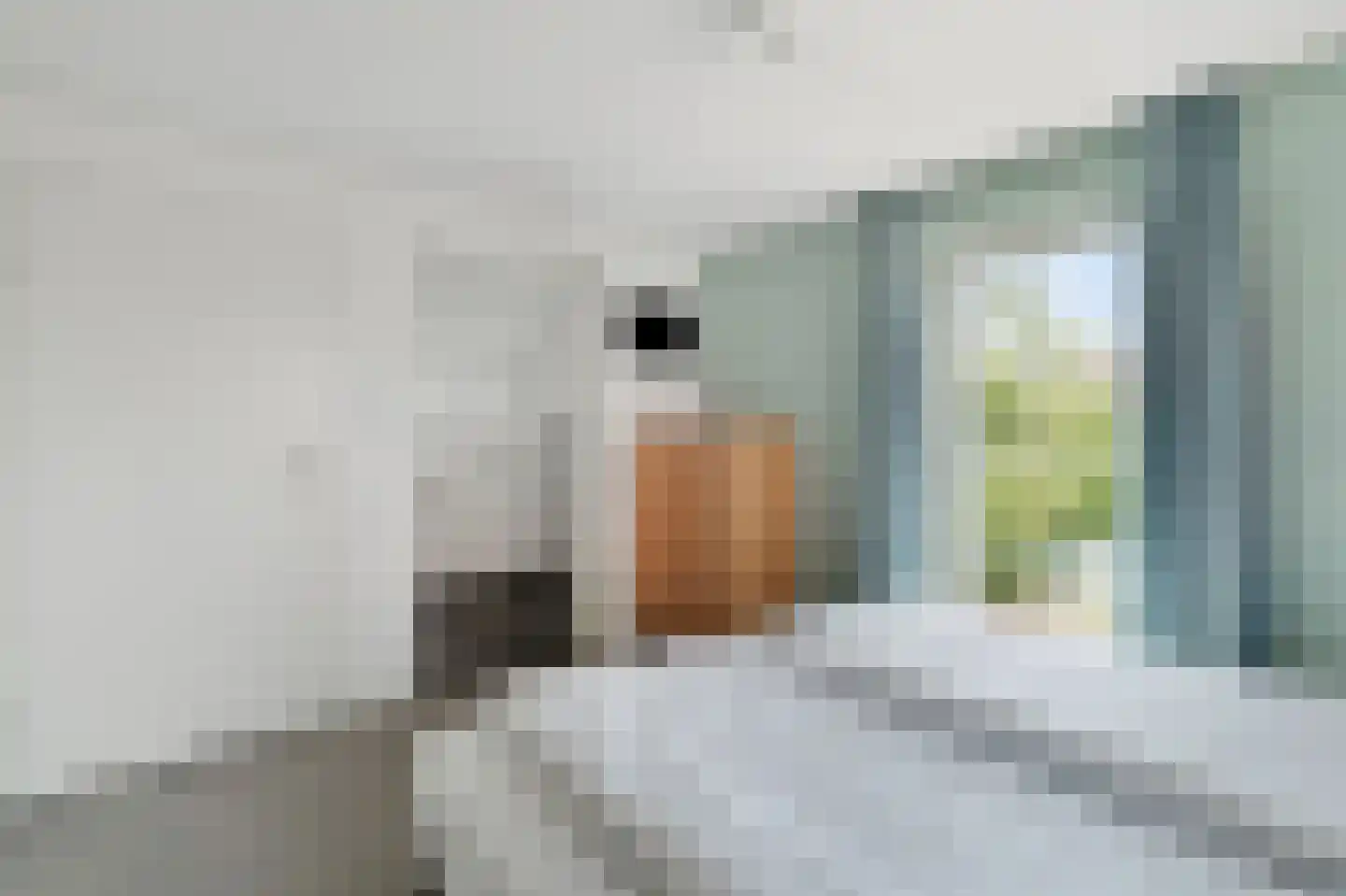 Ooghduyne 336 Julianadorp thumbnail 25