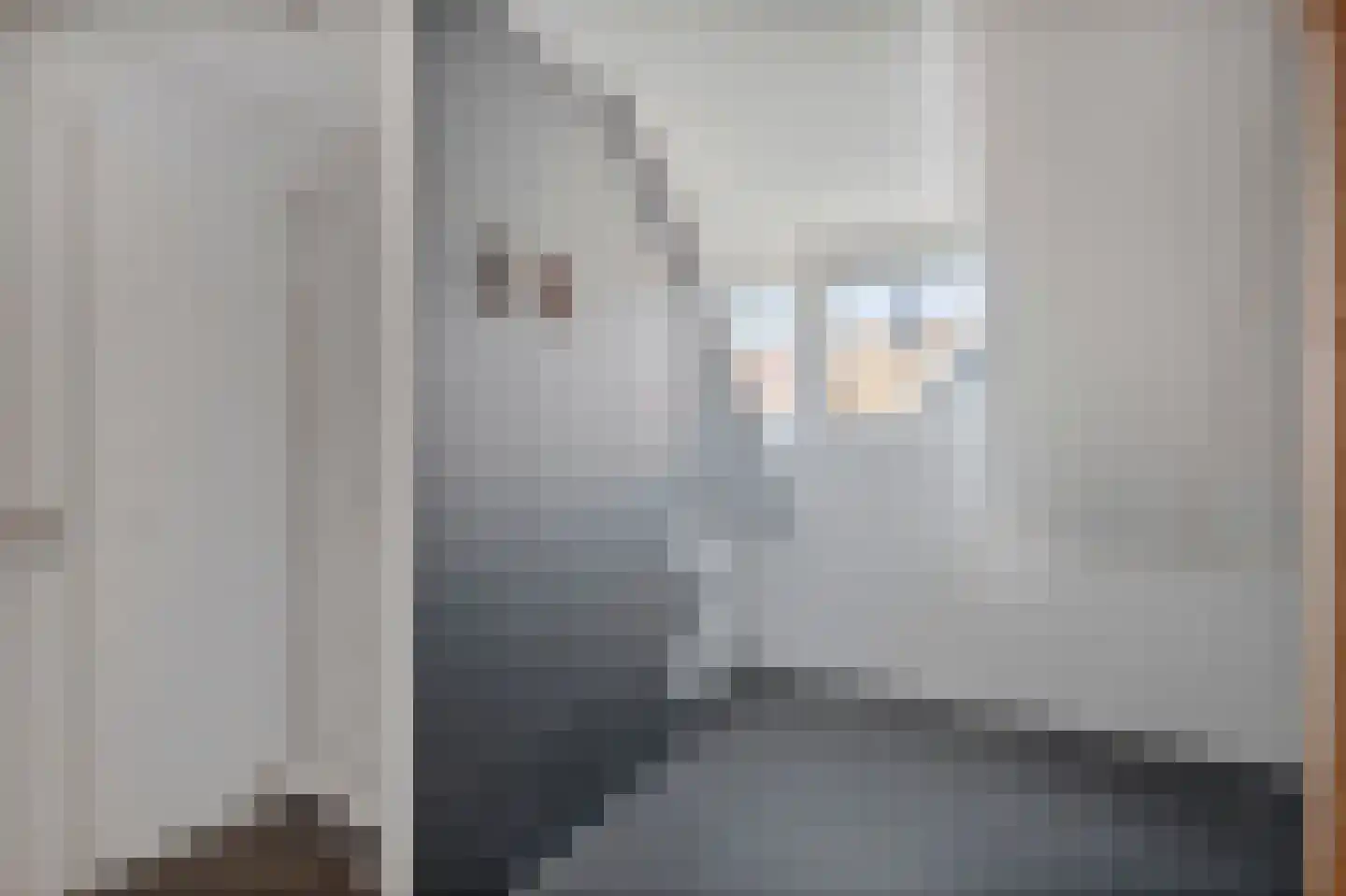 Ooghduyne 336 Julianadorp thumbnail 27