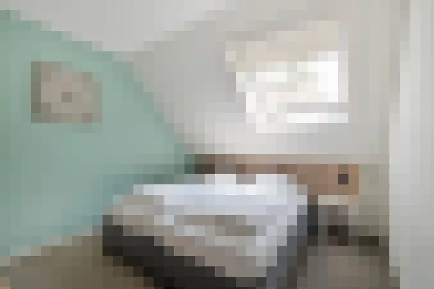 Ooghduyne 336 Julianadorp thumbnail 29