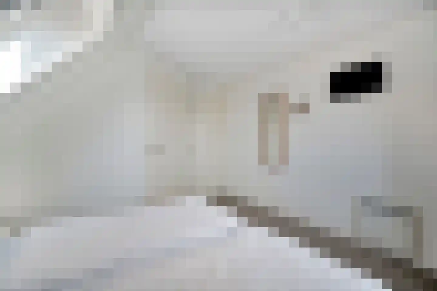 Ooghduyne 336 Julianadorp thumbnail 33