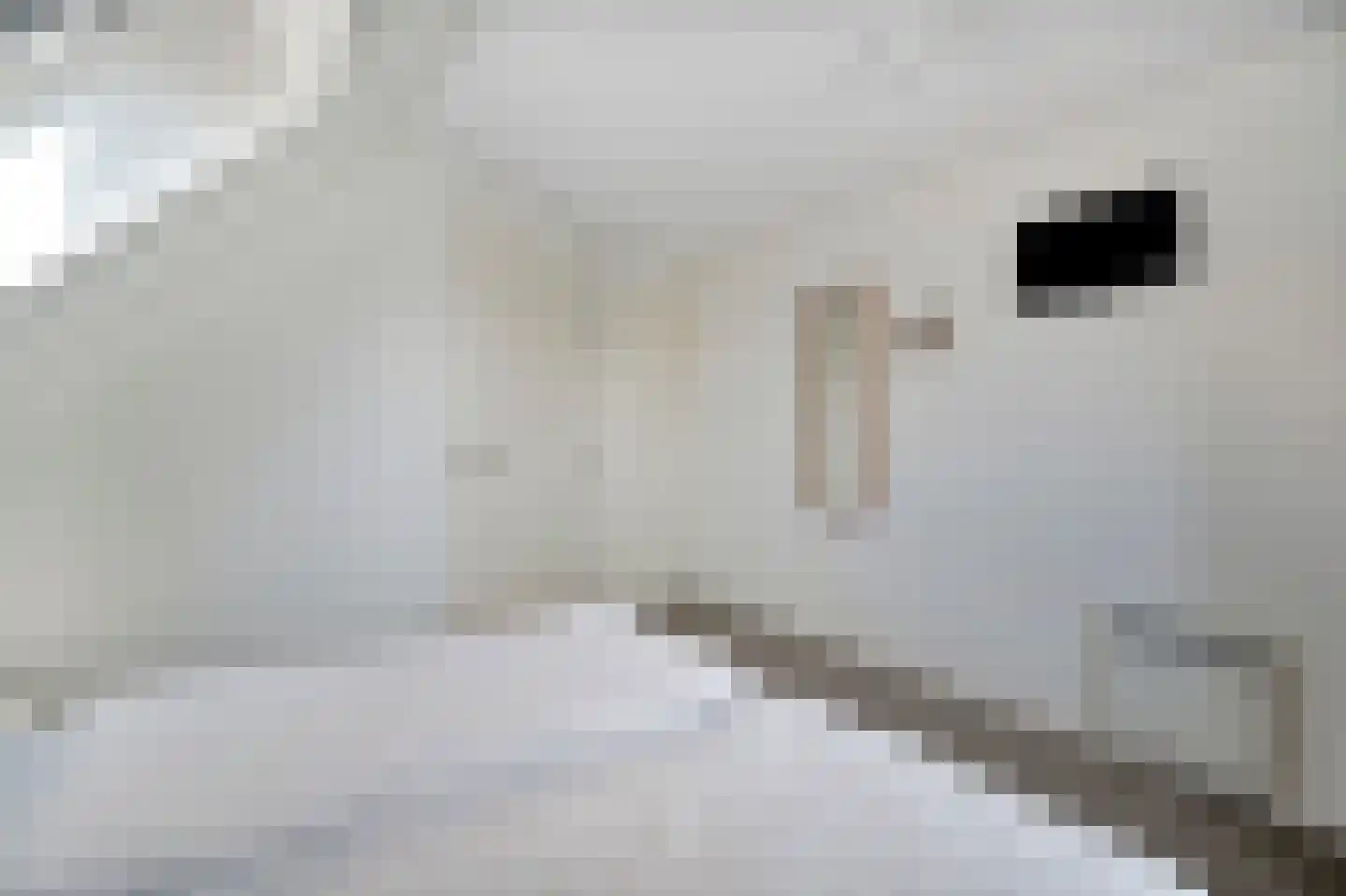 Ooghduyne 336 Julianadorp thumbnail 33