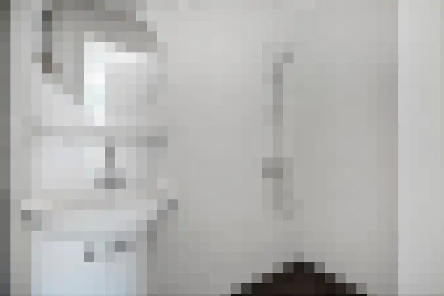 Ooghduyne 336 Julianadorp thumbnail 34