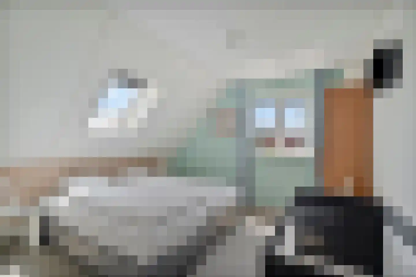 Ooghduyne 336 Julianadorp thumbnail 35