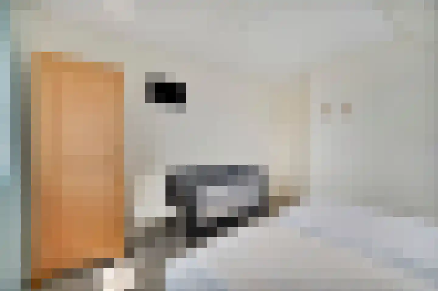Ooghduyne 336 Julianadorp thumbnail 36