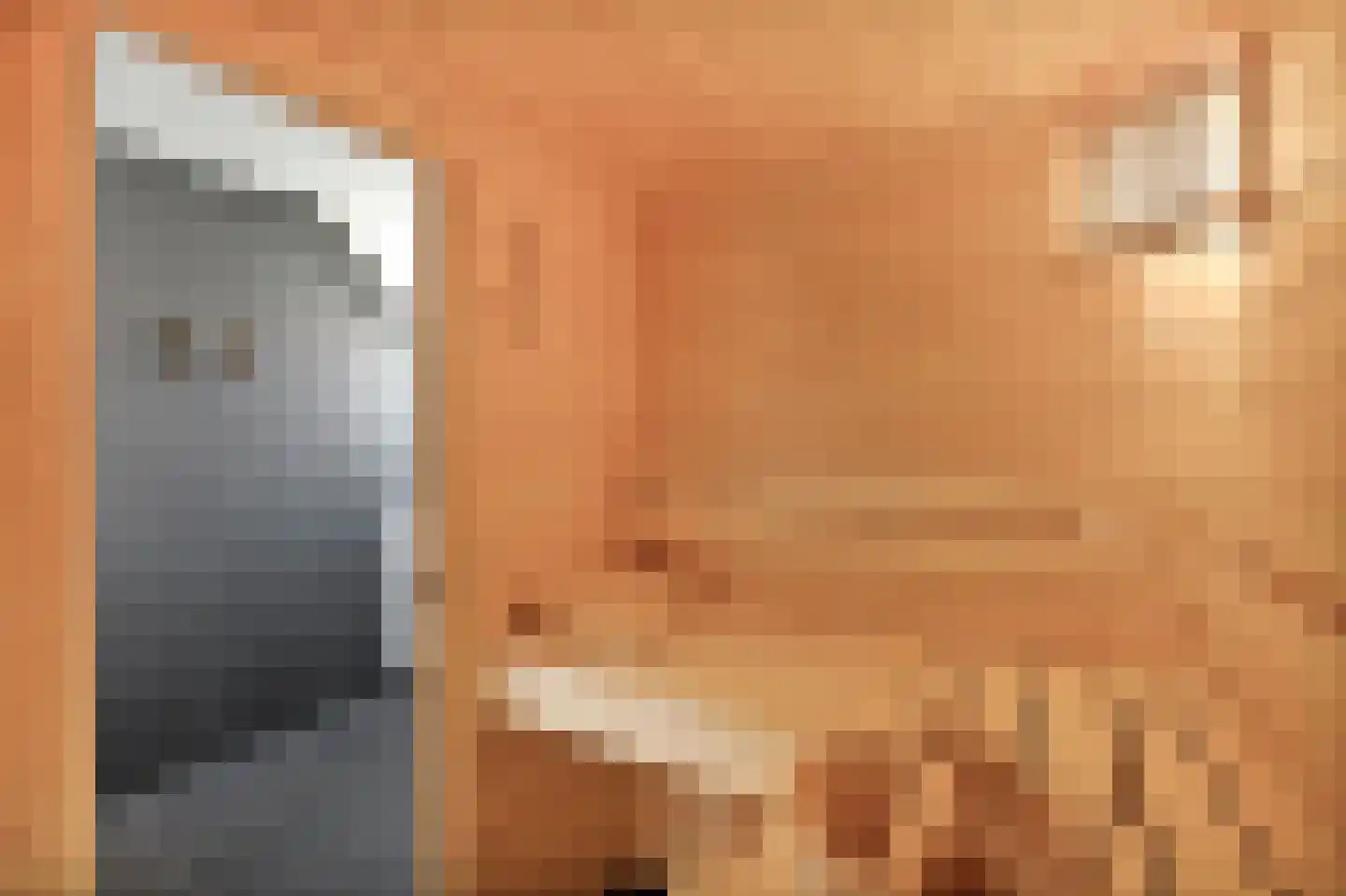 Ooghduyne 336 Julianadorp thumbnail 41