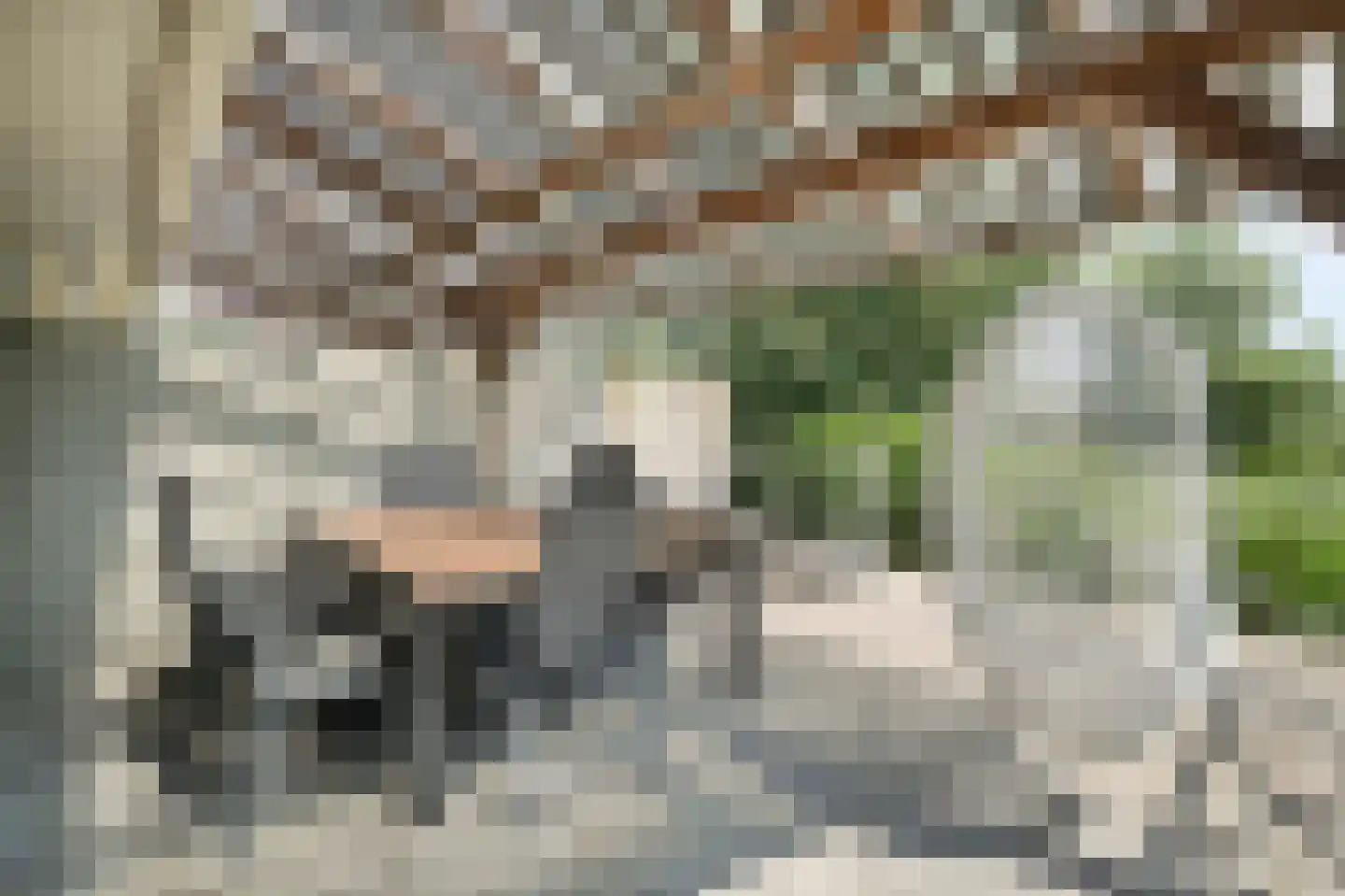 Ooghduyne 336 Julianadorp thumbnail 42