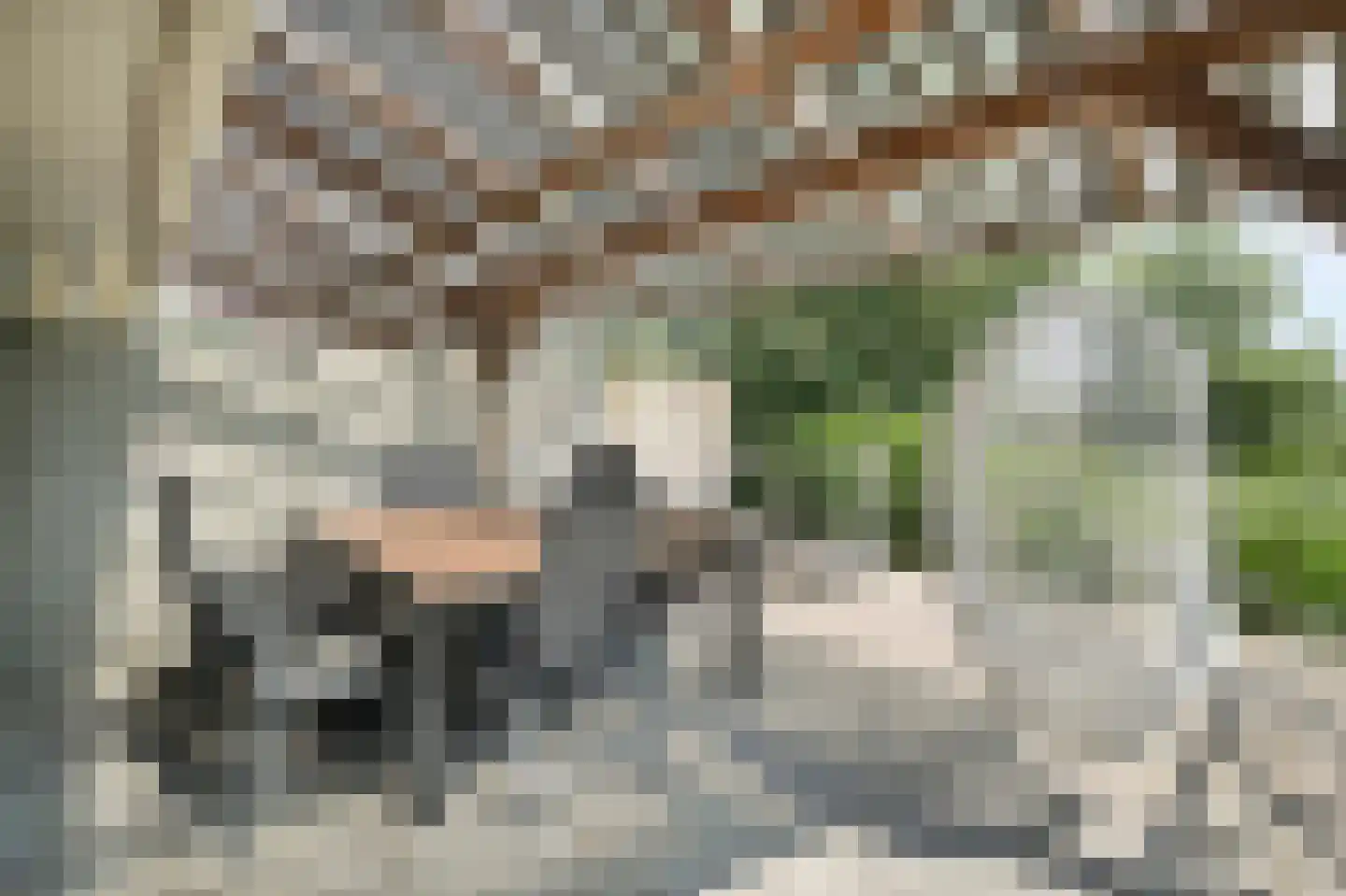 Ooghduyne 336 Julianadorp thumbnail 42