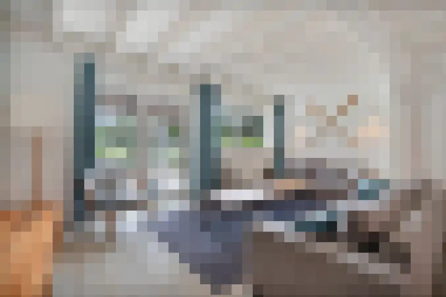 Ooghduyne 336 Julianadorp thumbnail 6