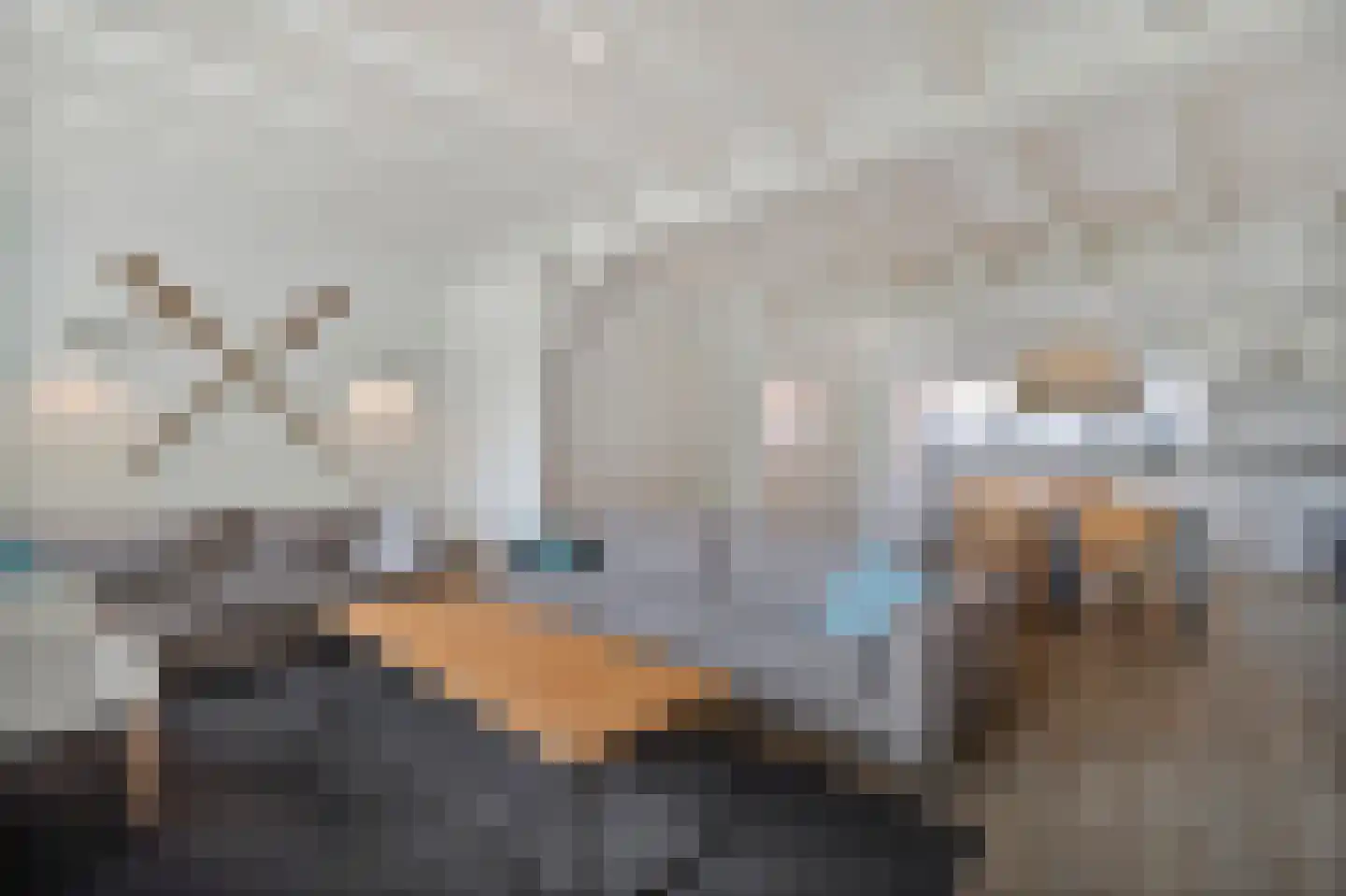 Ooghduyne 336 Julianadorp thumbnail 7