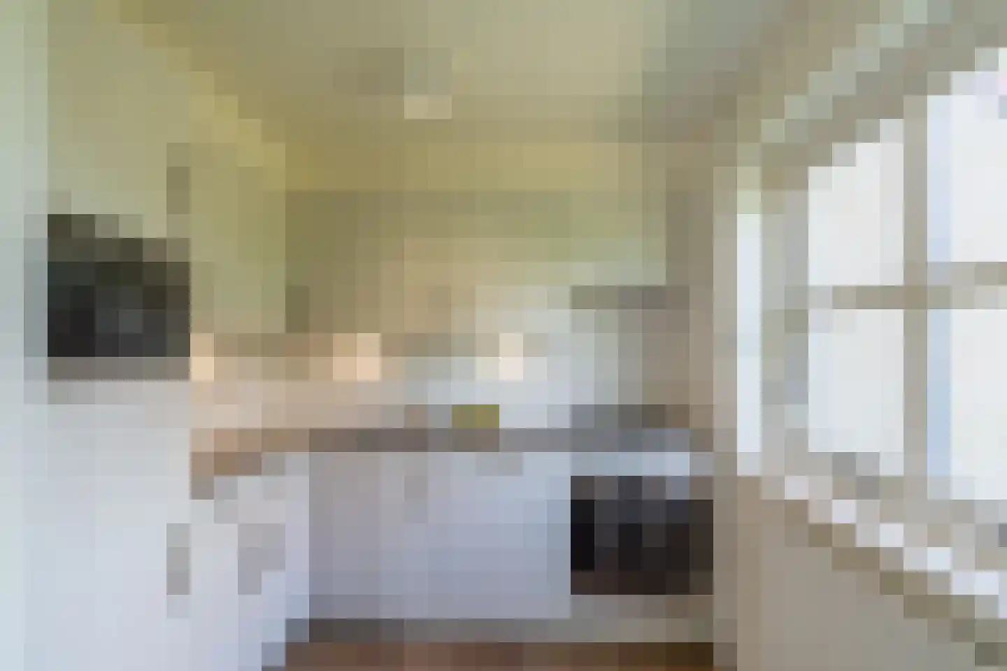 Ooghduyne 4 Julianadorp thumbnail 16
