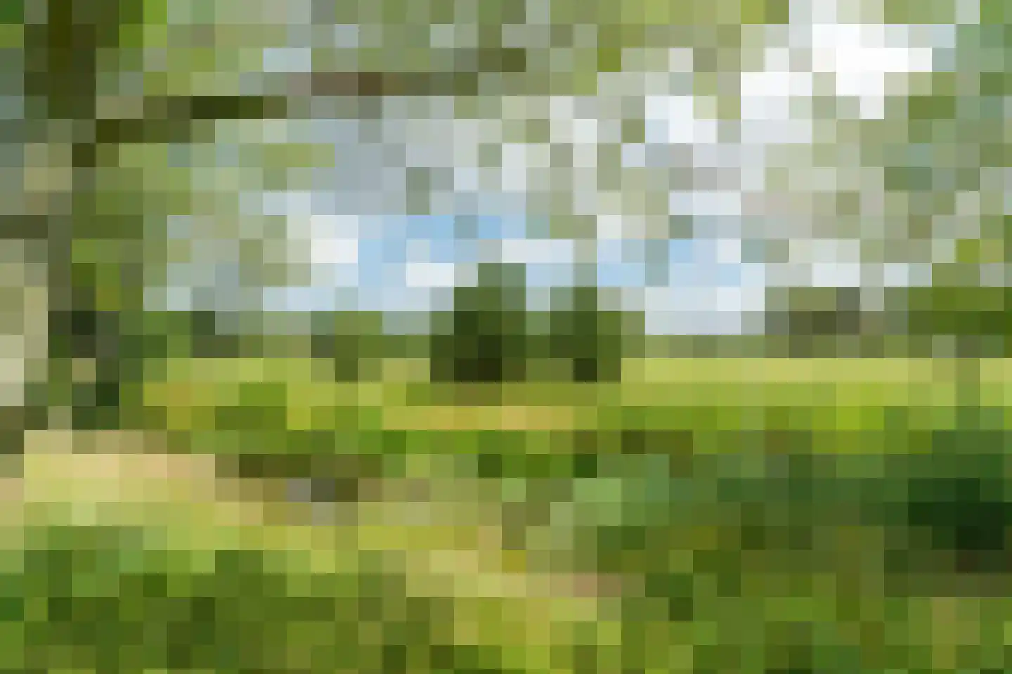 Ooghduyne 4 Julianadorp foto 2