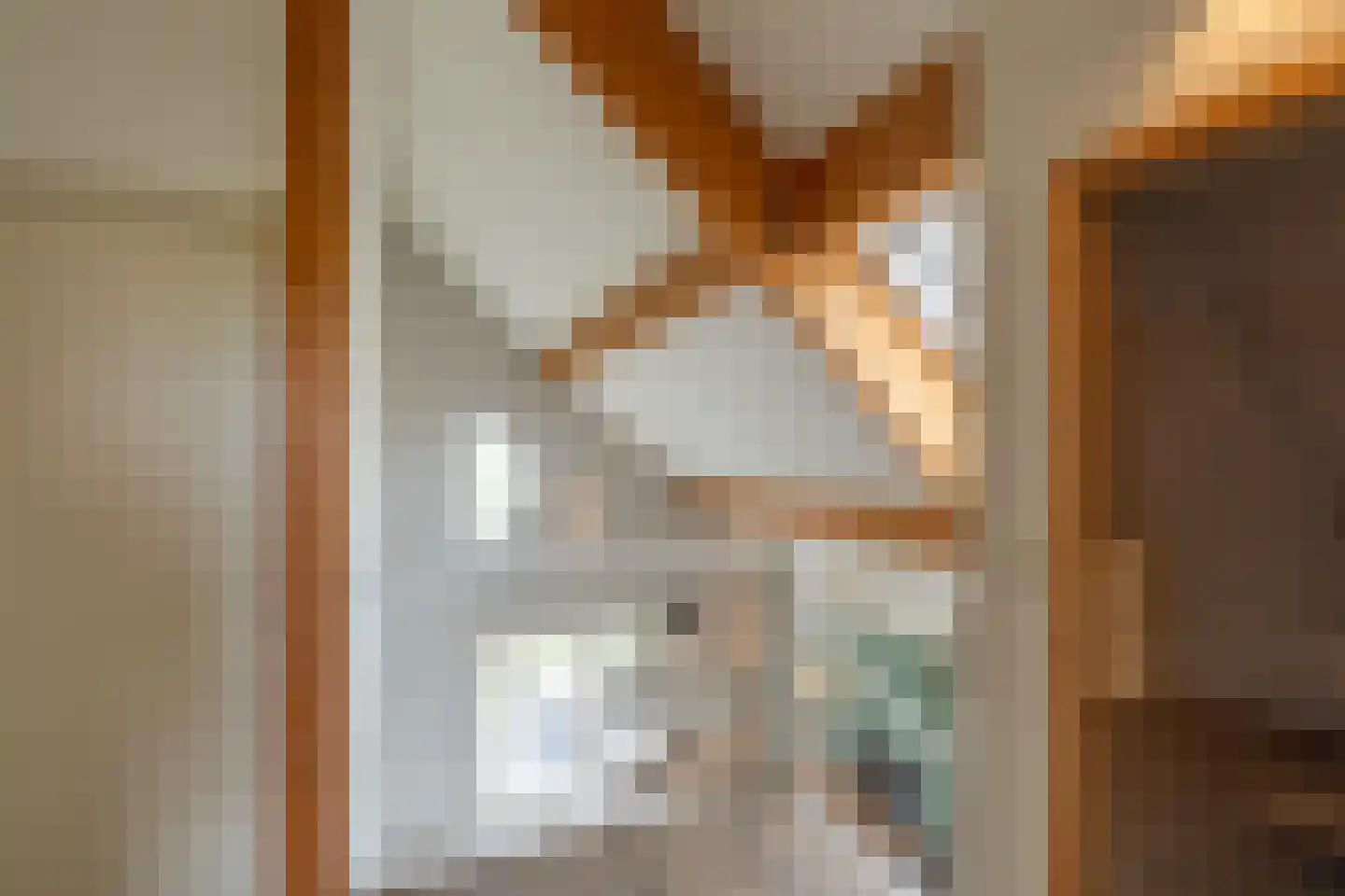 Ooghduyne 4 Julianadorp thumbnail 22