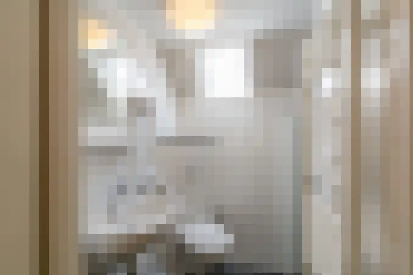 Ooghduyne 4 Julianadorp thumbnail 24