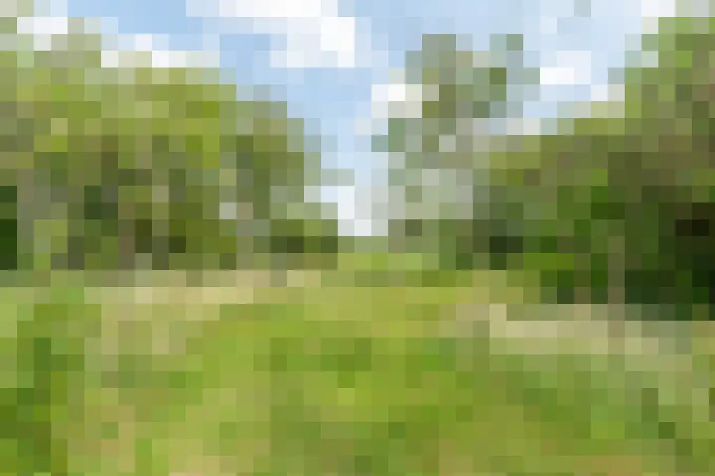 Ooghduyne 4 Julianadorp thumbnail 31