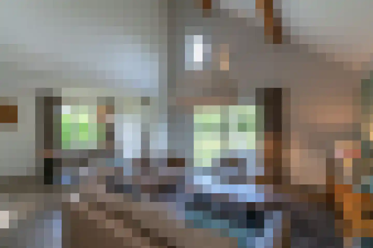Ooghduyne 4 Julianadorp thumbnail 8