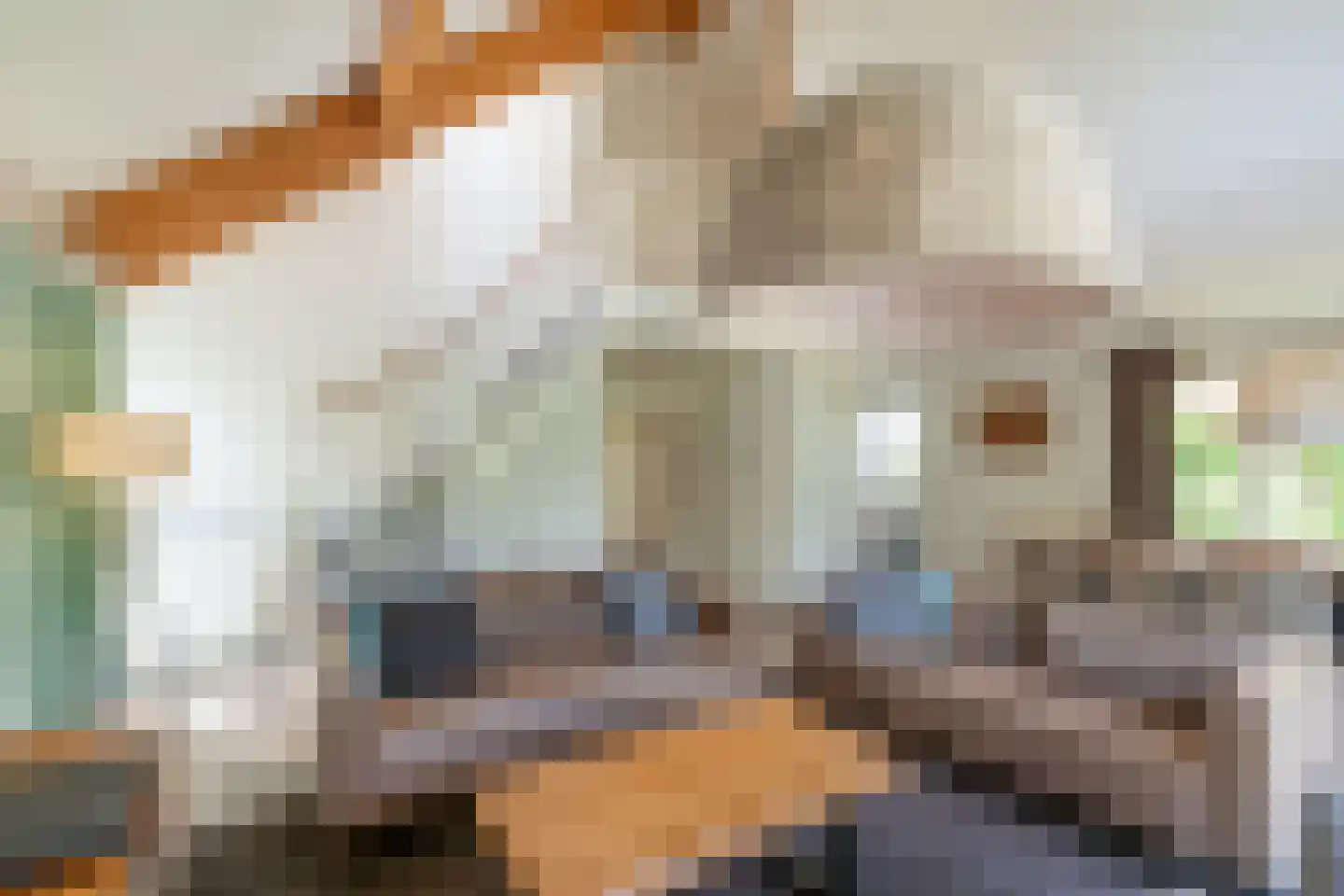 Ooghduyne 4 Julianadorp thumbnail 9