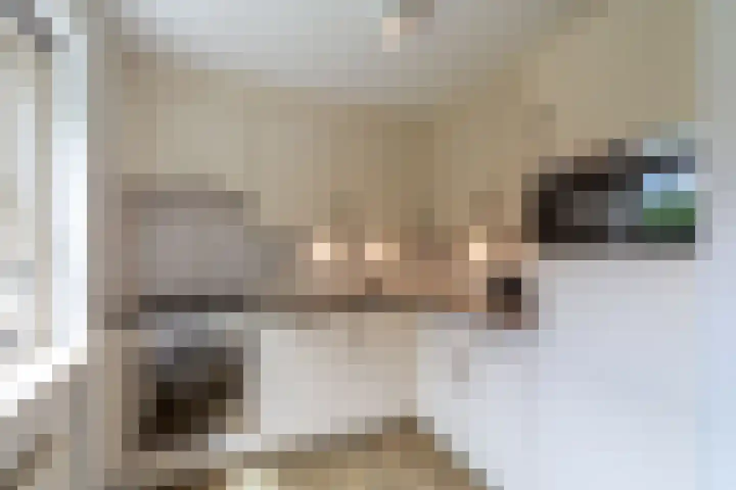 Ooghduyne 42 Julianadorp thumbnail 11