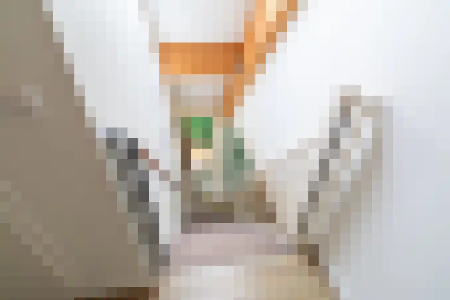 Ooghduyne 42 Julianadorp thumbnail 16